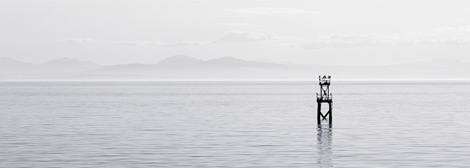 免费ddos平台攻击