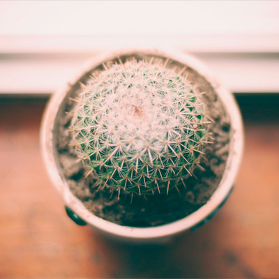 怎么买网页攻击平台