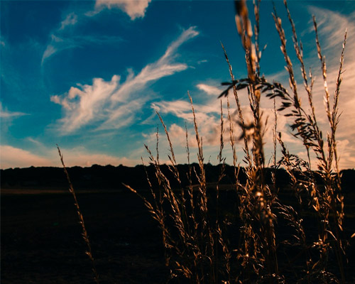 快速上手简单的免费ddos网页端